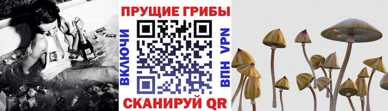 Галлюциногенные грибы мухоморы  Рубцовск 