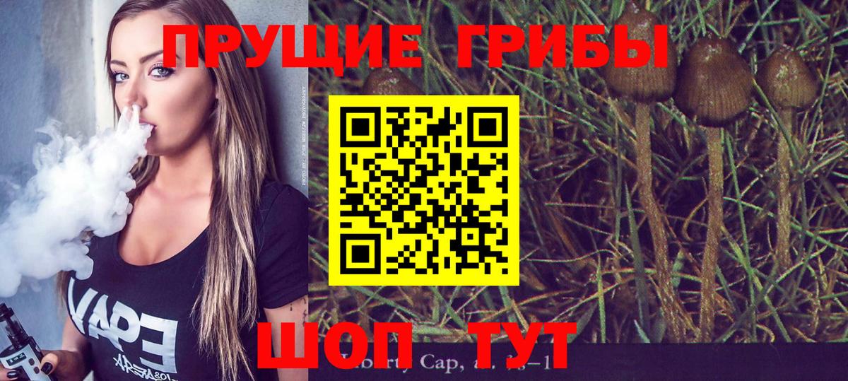Псилоцибиновые грибы ЛСД Рубцовск