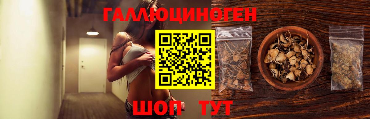 Рубцовск  Галлюциногенные грибы мухоморы  Вход с VPN 